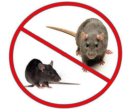 Rodent control - 