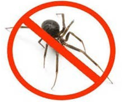 Spider control - 