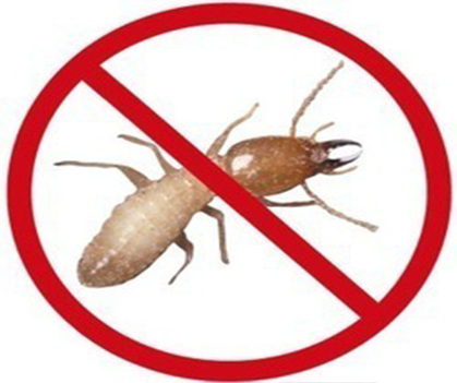 Termite control - 