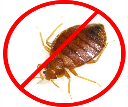 Bedbug control  