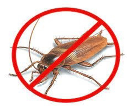 Cockroach ontrol - 