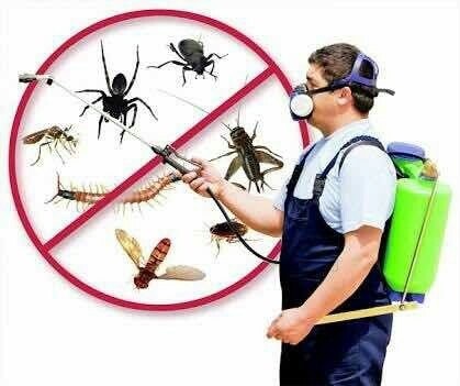 General pest control - 