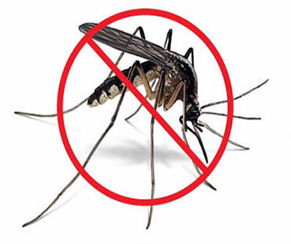 Mosquito control - 